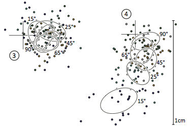 The Generalized Perceived Input Point Model: Detailed raw results