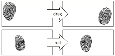 The Generalized Perceived Input Point Model: Distiguishing changes in roll from changes in pitch