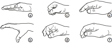 Data Miming: Hand postures observed in the study