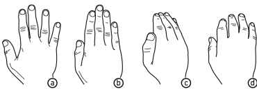 Data Miming: Hand poses and corresponding meanings