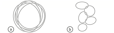 The Generalized Perceived Input Point Model: Main hypothesis