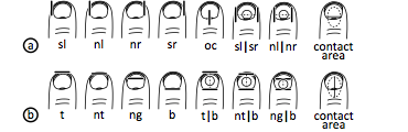 Understanding Touch: Half-models that might explain touch