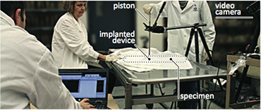 Implanted User Interfaces: Study setup with input apparatus set up